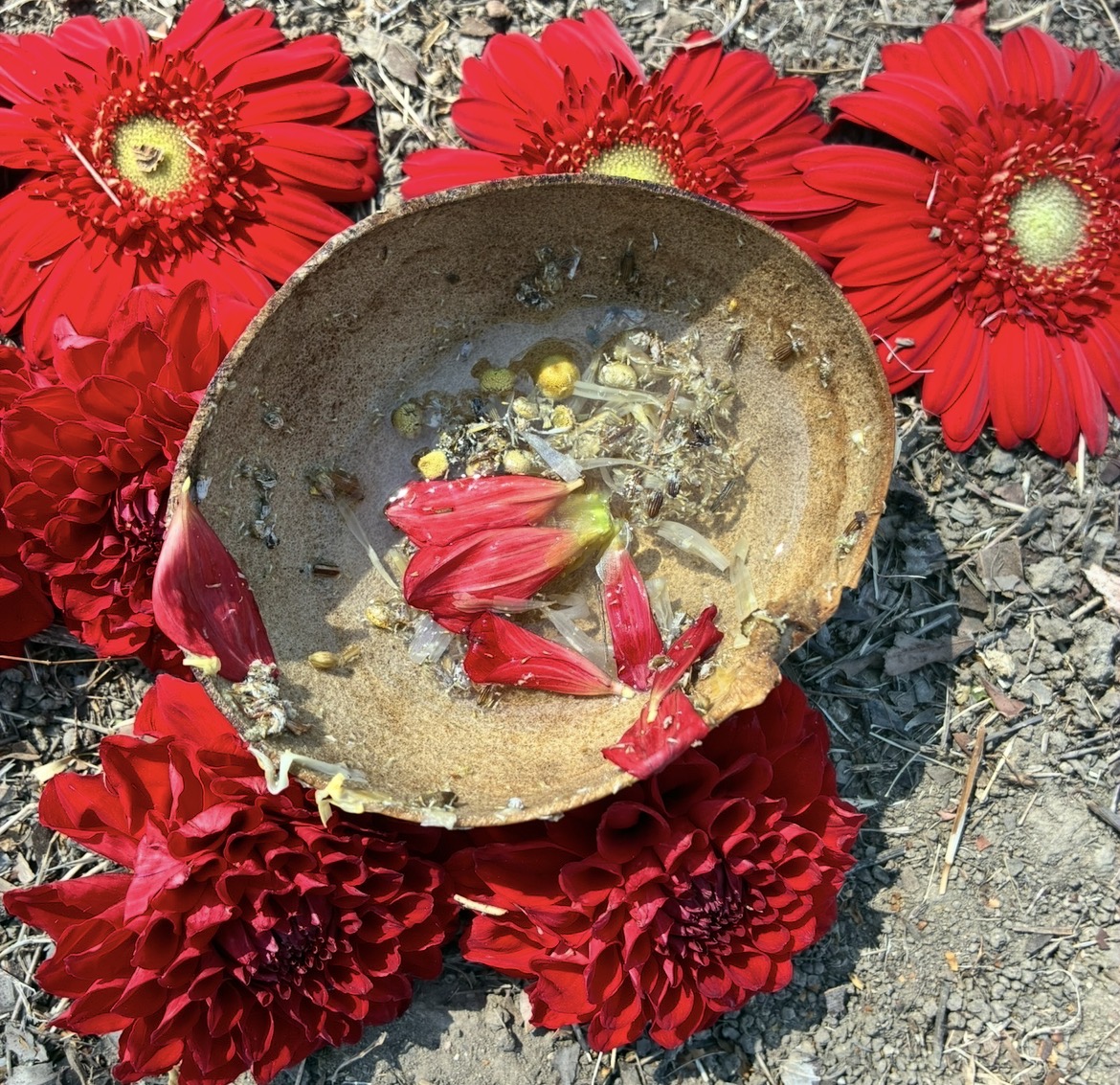 Traditional limpia offering from Desert Medicine